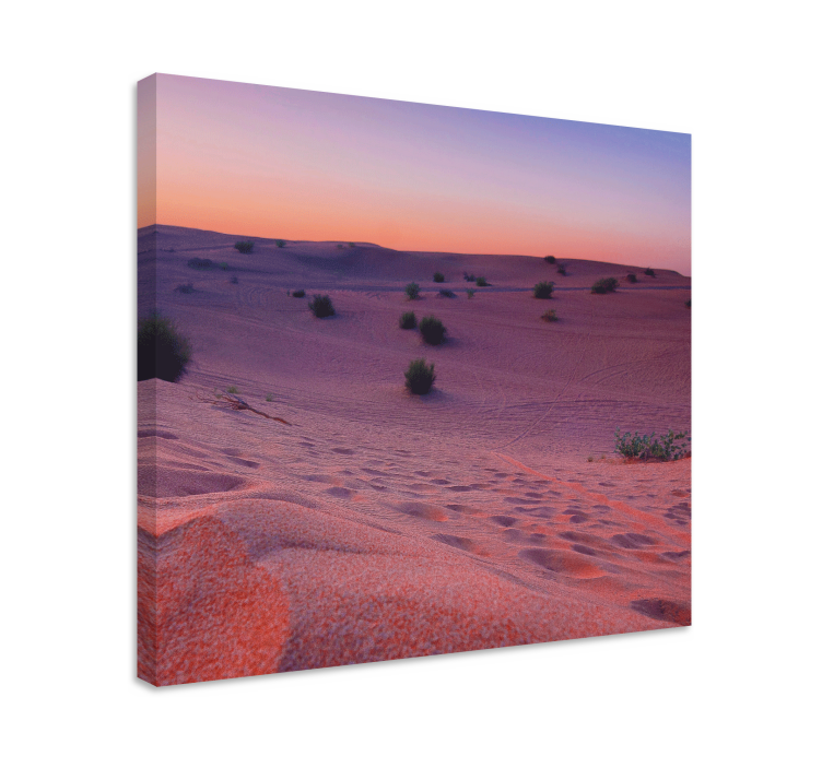Cuadro paisajes serenidad de dunas del desierto - TenVinilo