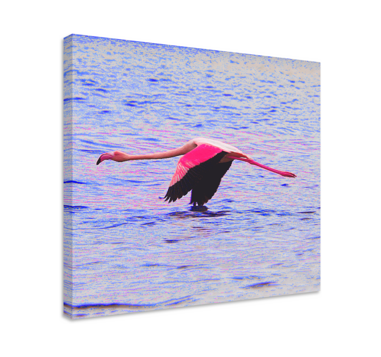 Cuadro peces flamenco en vuelo - TenVinilo