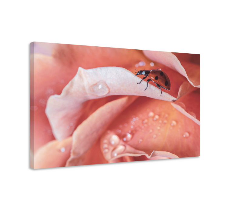 Cuadro de flores mariquita en rosa - TenVinilo