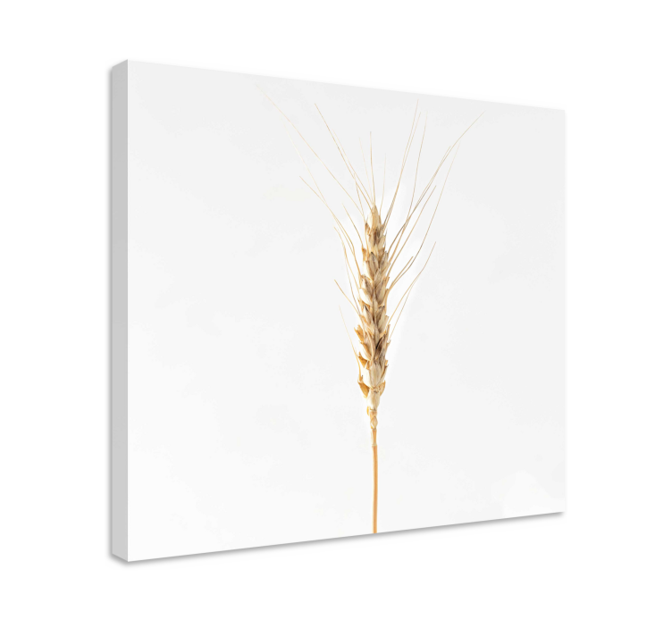 Cuadro cocina plantas Espigas - TenVinilo