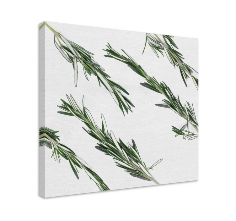 Cuadro cocina plantas Romero - TenVinilo