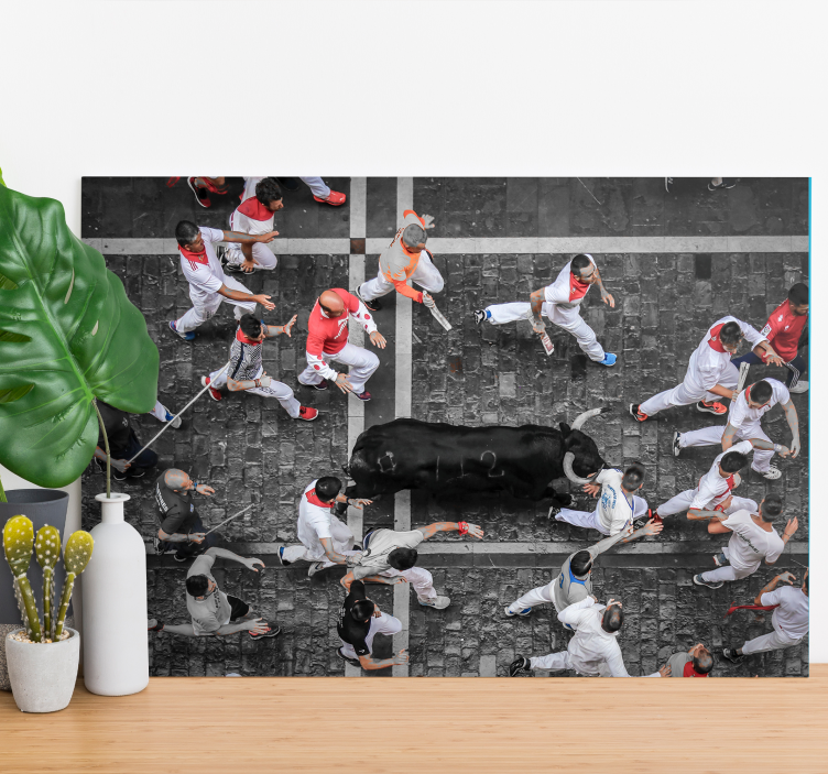 Cuadro de ciudades San Fermin Pamplona - TenVinilo