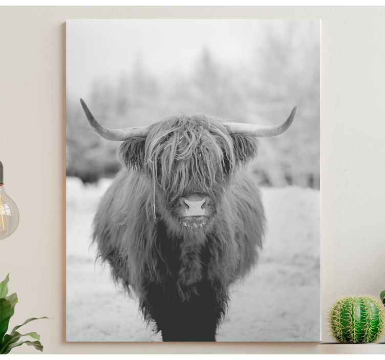 Cuadro animales retrato de vaca highlander - TenVinilo