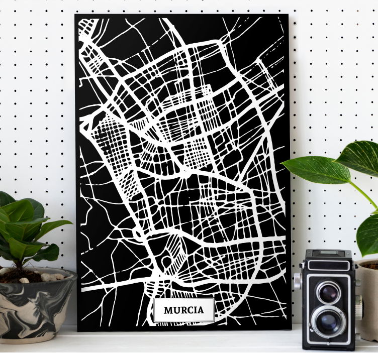 Cuadro ciudades Mapa topográfico Murcia - TenVinilo