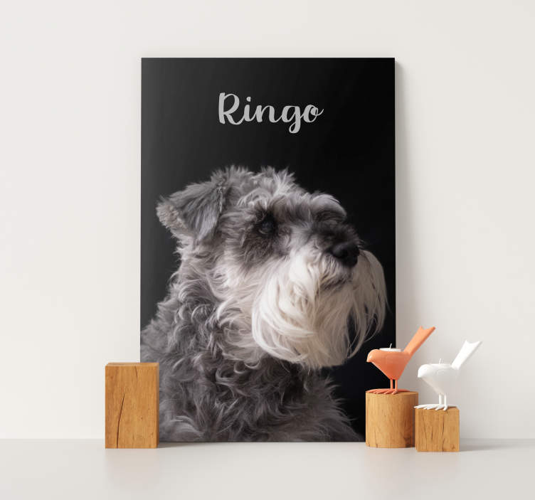 Cuadro perro foto de schnauzer - TenVinilo