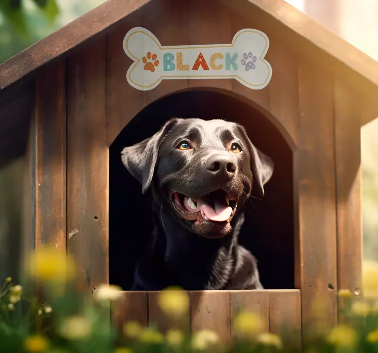 Vinilo mascota nombre de casa de perro - TenVinilo