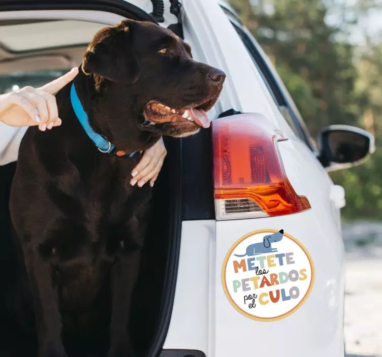 Pegatina para coche "No petardos" - TenVinilo