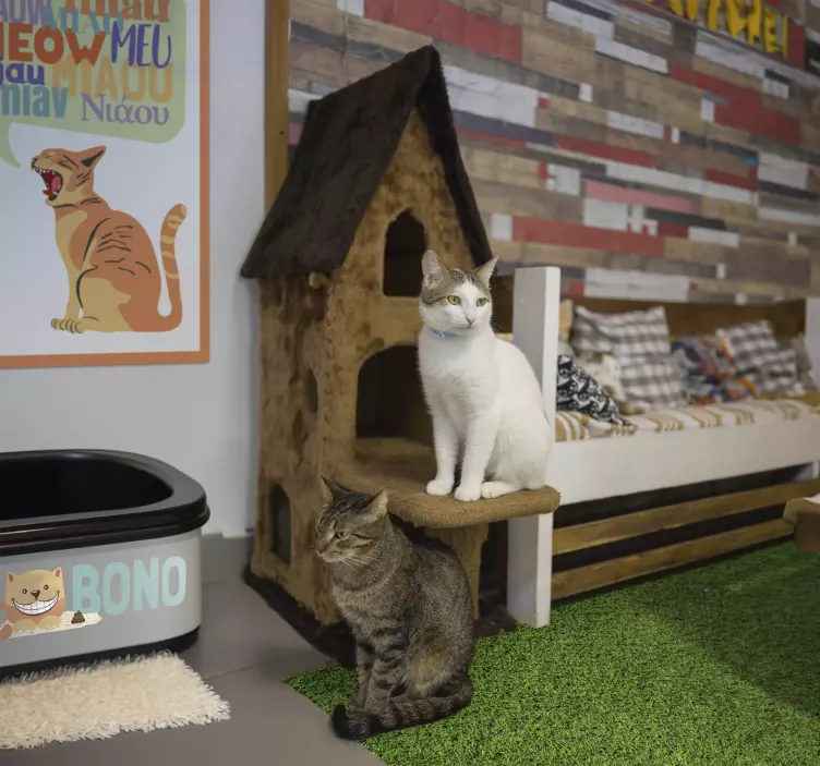 Vinilo personalizable para caja de arena gatos - TenVinilo