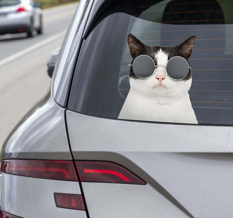 Pegatina gato con gafas de sol para coche - TenVinilo