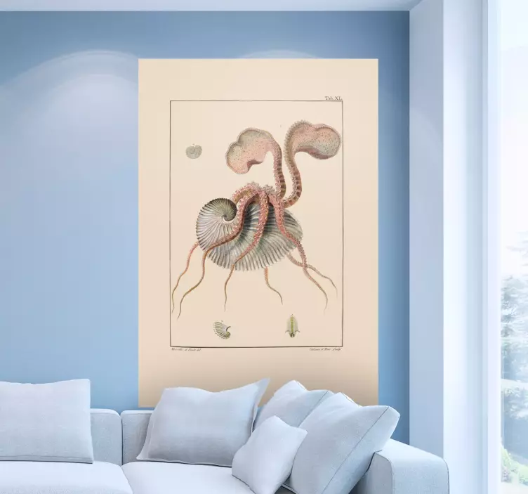 Vinilo lámina antigua nautilus - TenVinilo