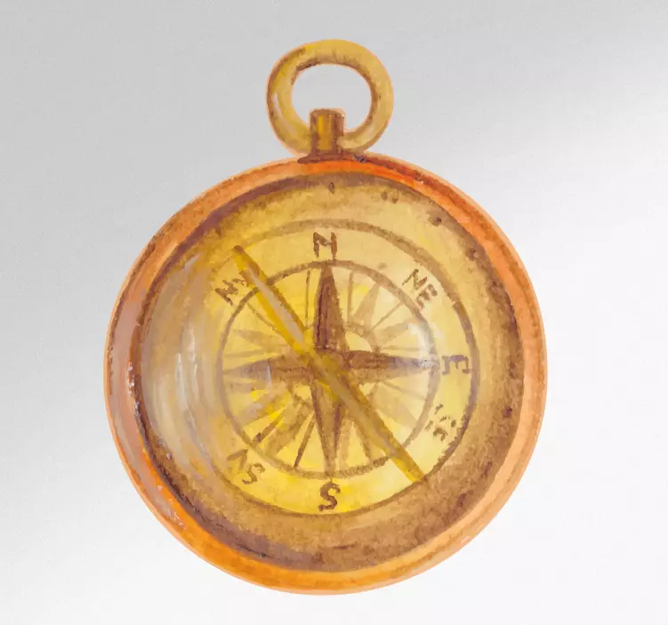 Vinilo original Colorido comprass ilustración - TenVinilo