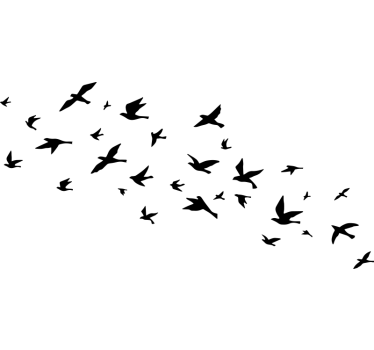 Vinilo autocaravana bandada de aves en vuelo - TenVinilo