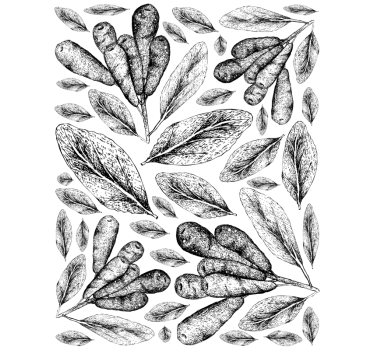 Vinilo decorativo de ventana plantas ornamental - TenVinilo