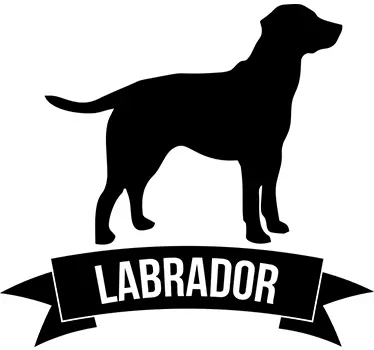 Vinilo decorativo perro labrador - TenVinilo