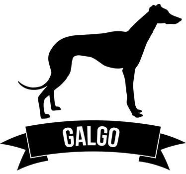 Pegatina perro galgo monocolor - TenVinilo