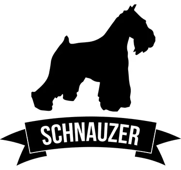 Vinilo decorativo perro schnauzer - TenVinilo