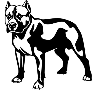 Vinilo decorativo Pitbull negro - TenVinilo