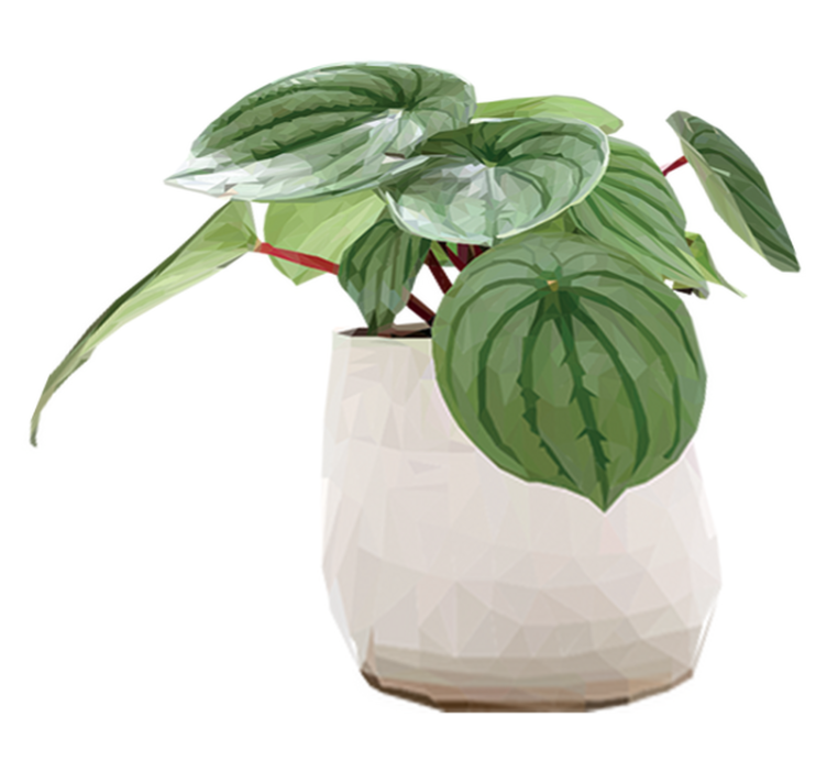 Alfombra vinílica flores planta sencilla del hogar - TenVinilo