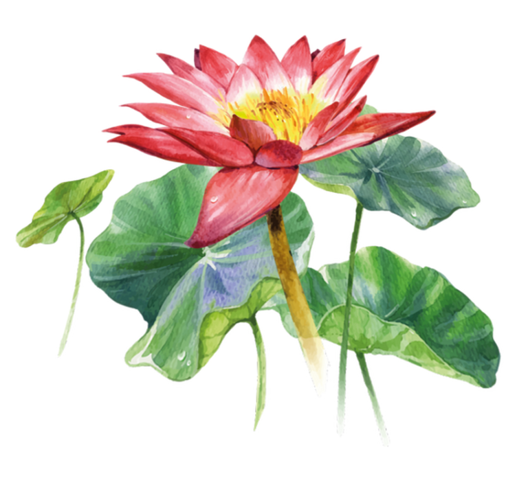 Alfombra vinílica dormitorio ilusión acuarela loto - TenVinilo