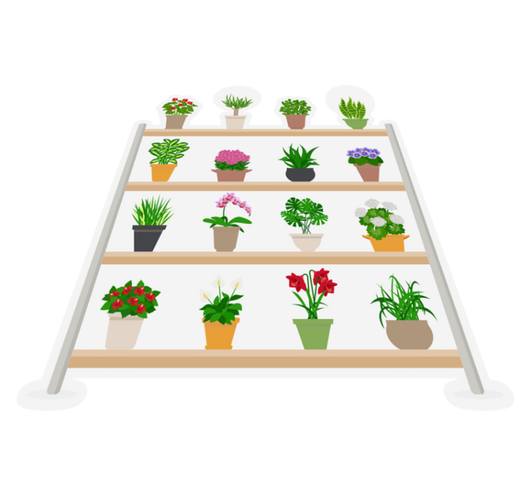 Alfombra vinílica cocina plantas en estantes - TenVinilo