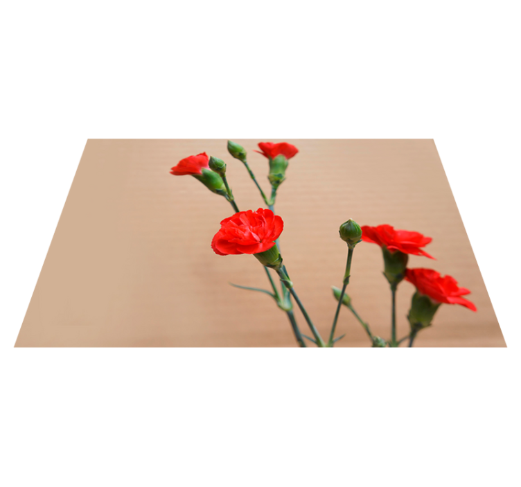 Alfombra vinílica flores con claveles rojos - TenVinilo