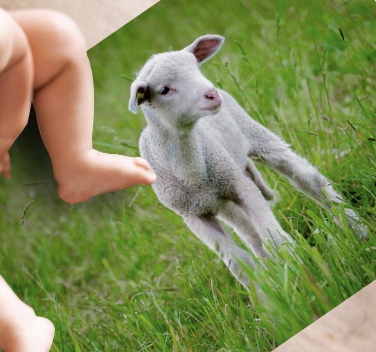 Alfombra vinílica animales cordero lechal de pie - TenVinilo