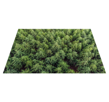 Alfombra vinílica naturaleza vista aérea del bosque - TenVinilo