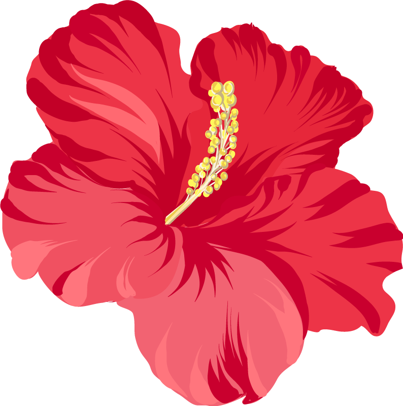 Alfombra vinílica flores kit de flores hibisco rojo - TenVinilo