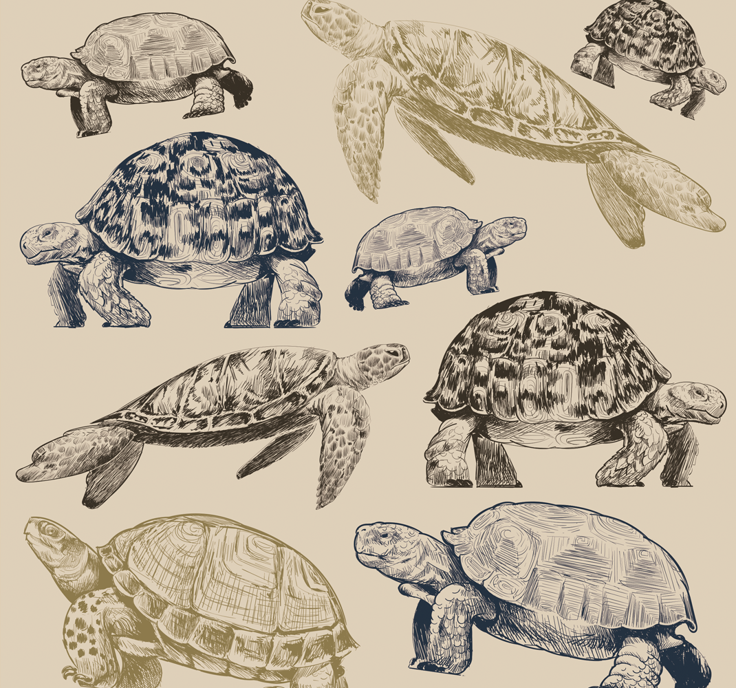 Alfombra vinílica dormitorio tortugas fondo beige - TenVinilo