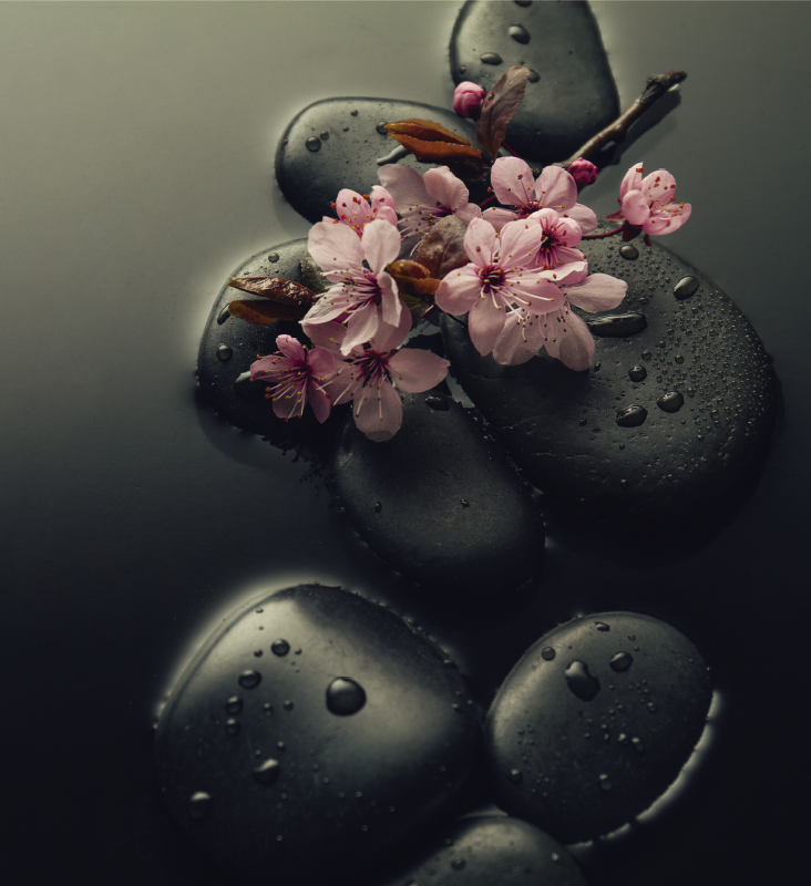 Alfombra vinílica naturaleza ambiente zen con piedra - TenVinilo