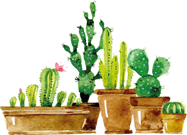 Alfombra vinílica flores jardín de cactus casero - TenVinilo