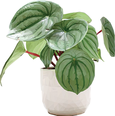 Alfombra vinílica flores planta sencilla del hogar - TenVinilo