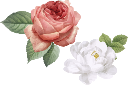 Alfombra vinílica dormitorio rosas blancas y rosas - TenVinilo