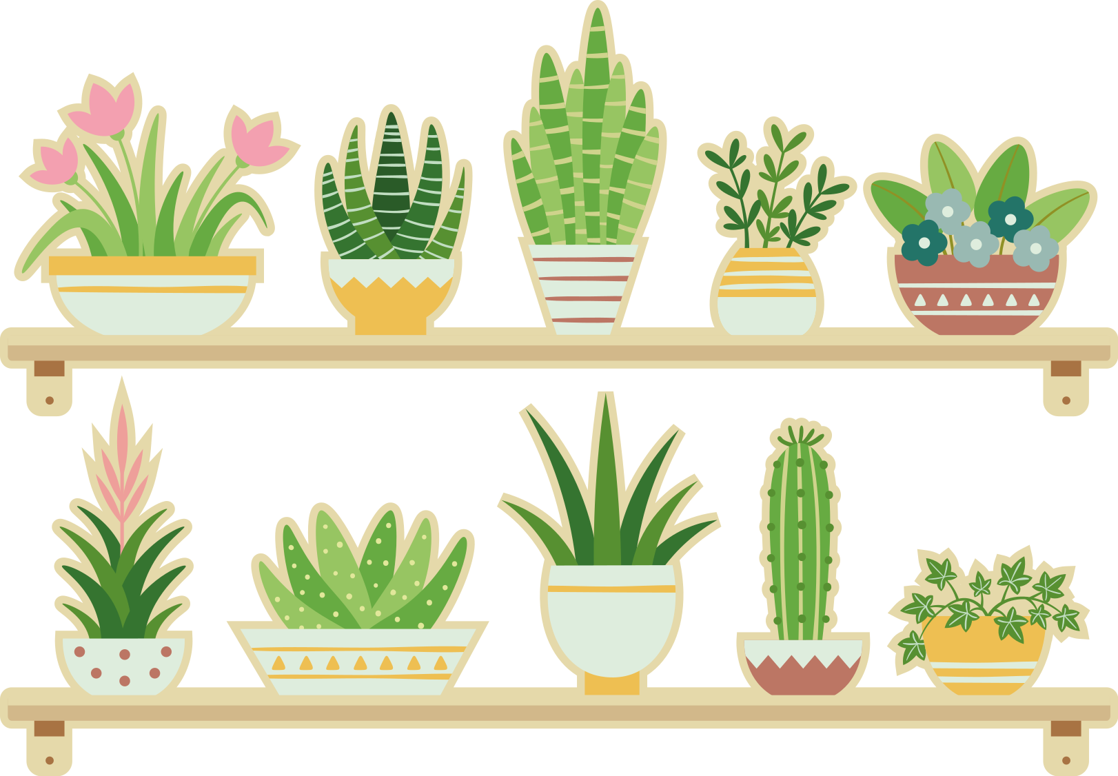 Alfombra vinílica cocina estante para plantas cactus - TenVinilo