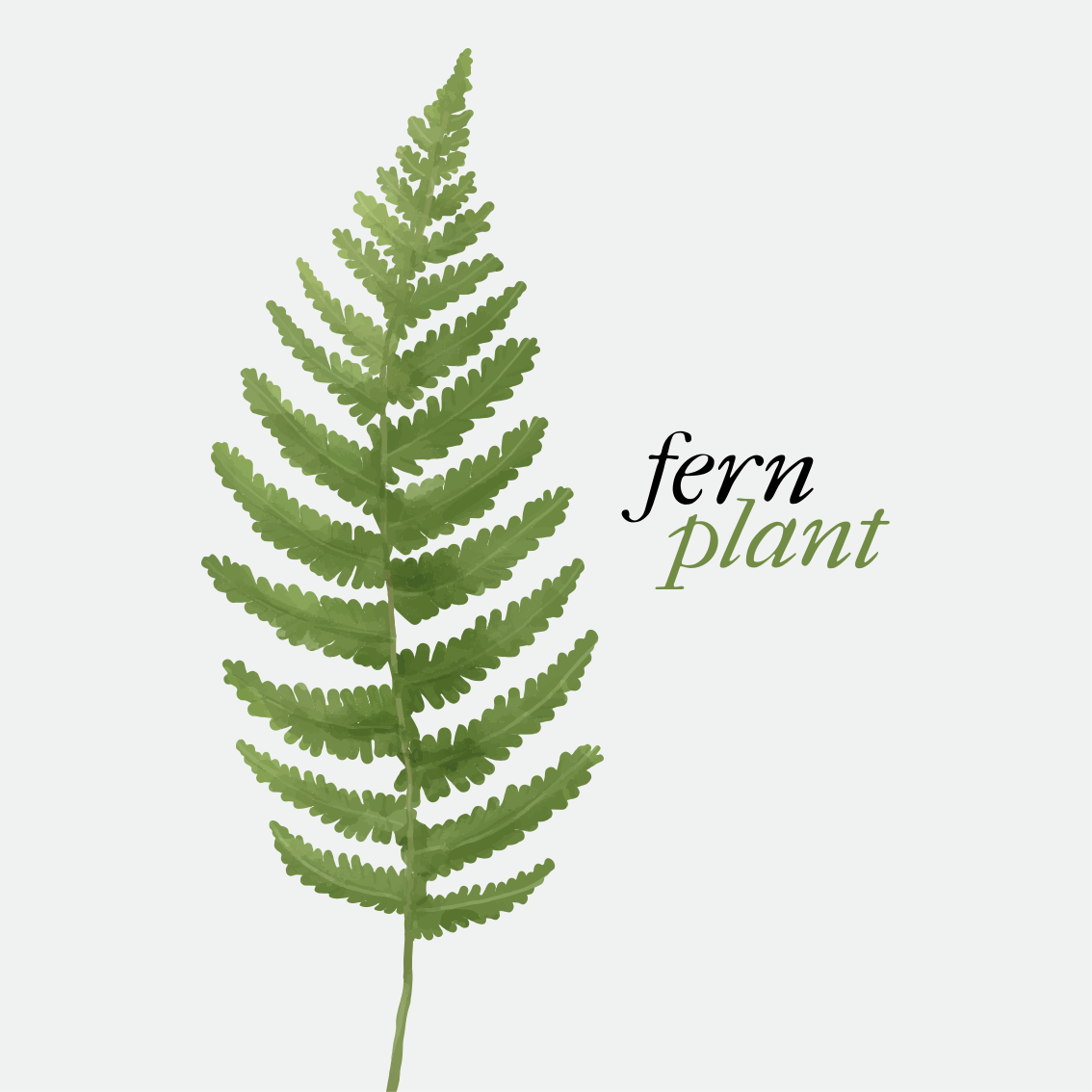 Alfombra vinílica frase planta helecho estilo minimalista - TenVinilo