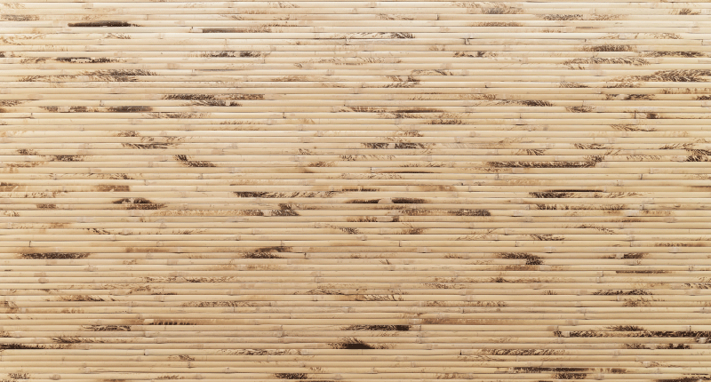 Alfombra vinílica entrada palitos de madera marrón claro - TenVinilo