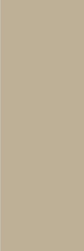 Alfombra vinilica beige color beige - TenVinilo