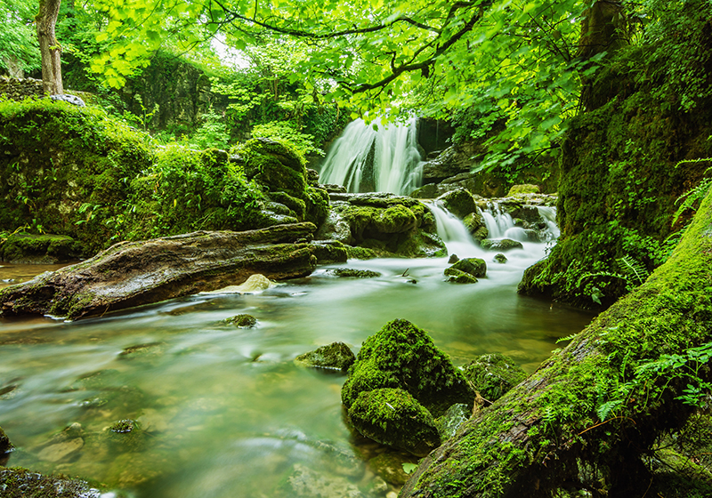 Alfombra vinílica verde cascada serena - TenVinilo