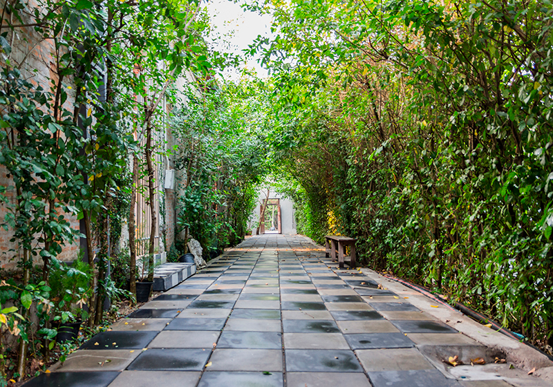 Alfombra vinílica verde camino serene del jardín - TenVinilo