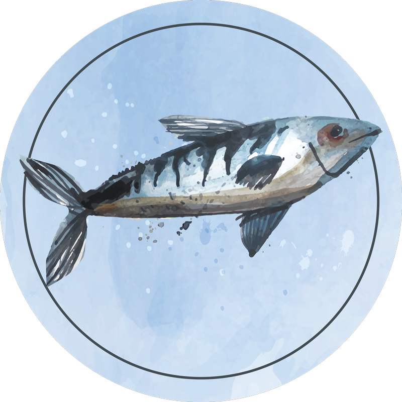 Alfombra vinílica animales exploración acuática - TenVinilo