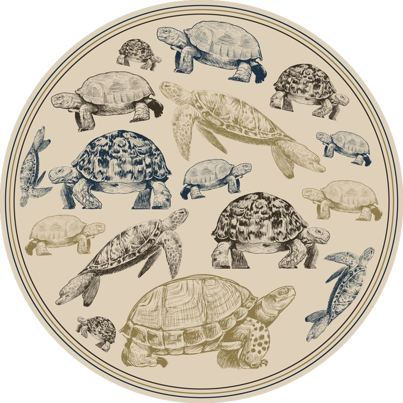 Alfombra vinílica animales ilustraciones de tortugas - TenVinilo