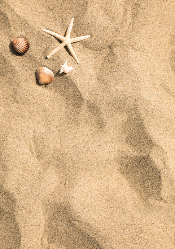 Alfombra vinílica entrada textura piedra verano - TenVinilo