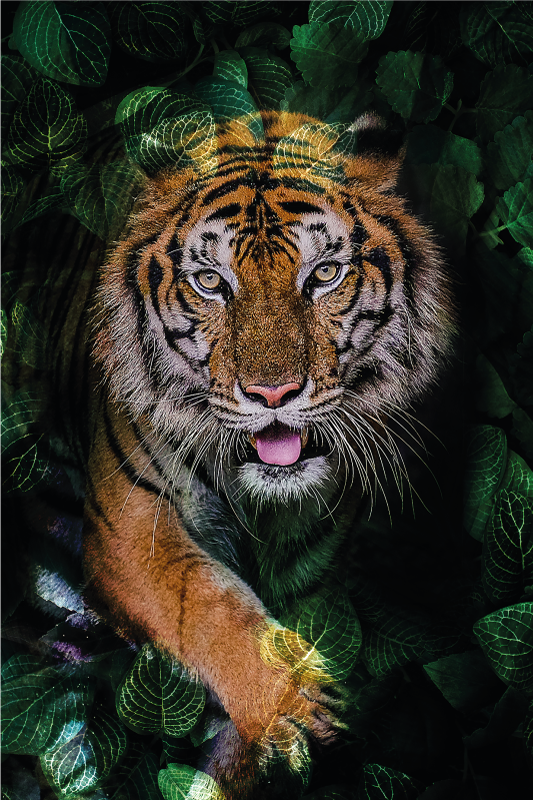 Alfombra vinílica animales retrato de tigre y follaje - TenVinilo