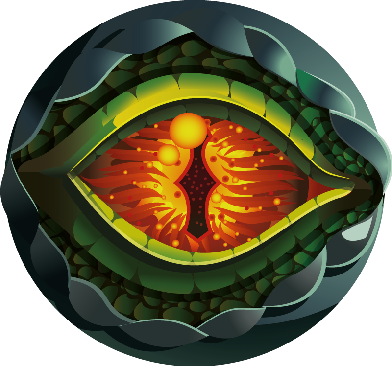 Alfombra vinílica naturaleza ojo de naturaleza abstracto - TenVinilo