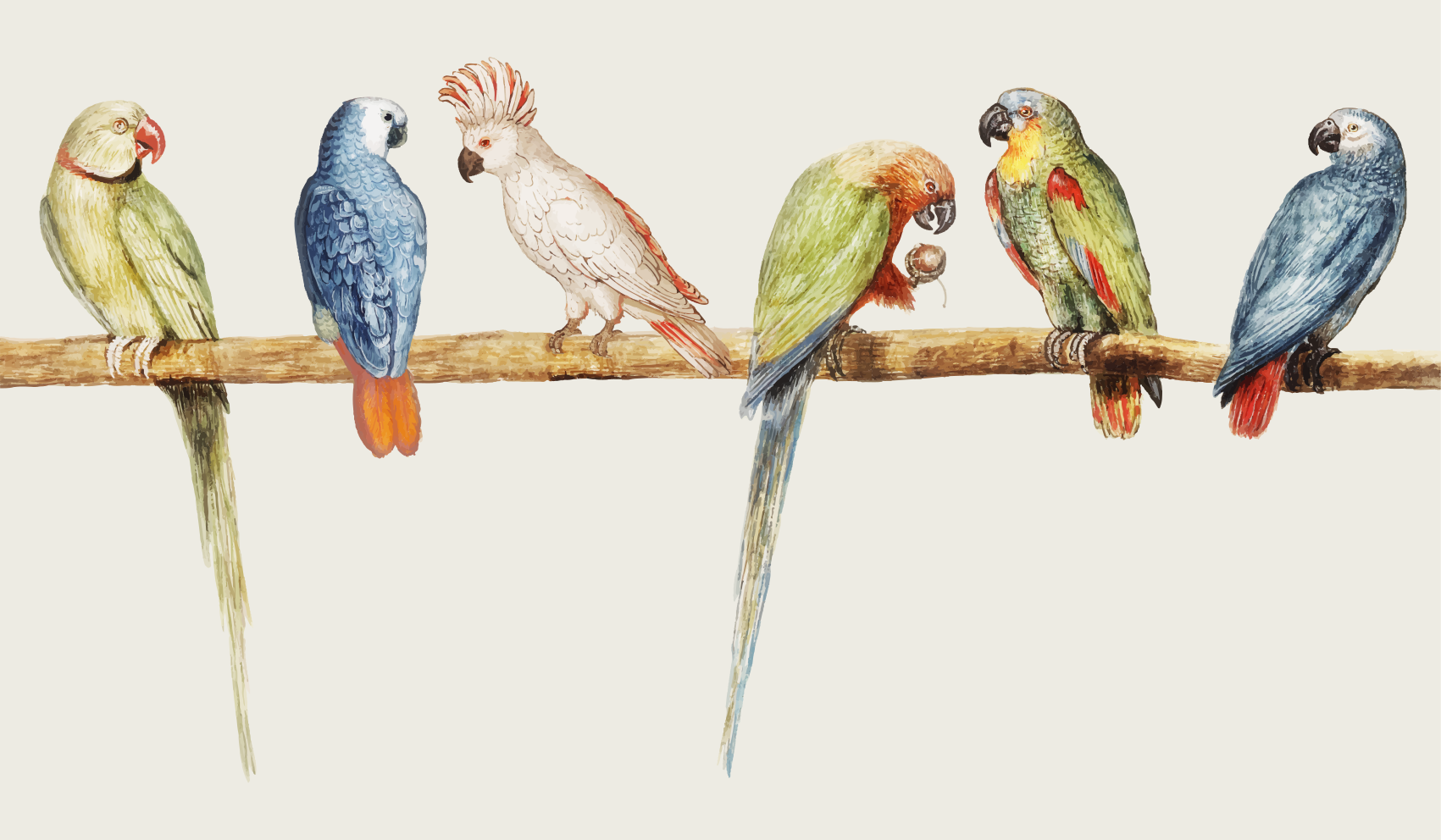 Alfombra vinílica animales ilustración de perca de loro - TenVinilo