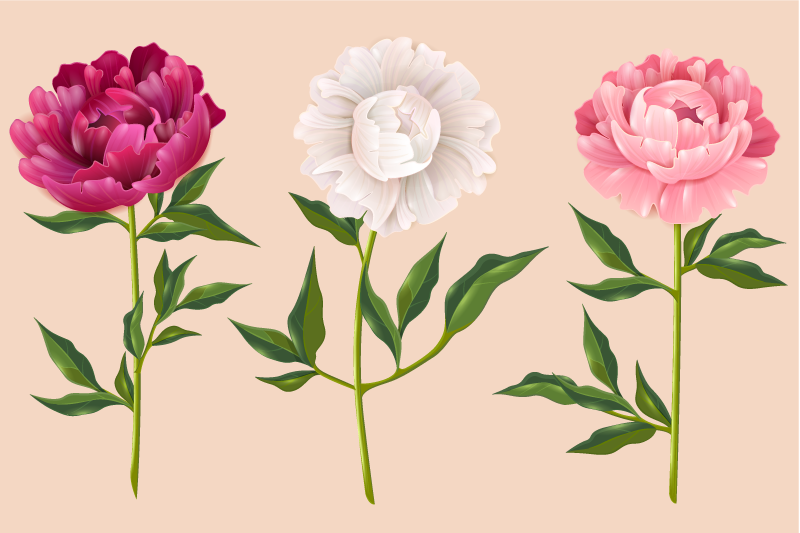 Alfombra vinilo baño elegante arreglo de trío - TenVinilo