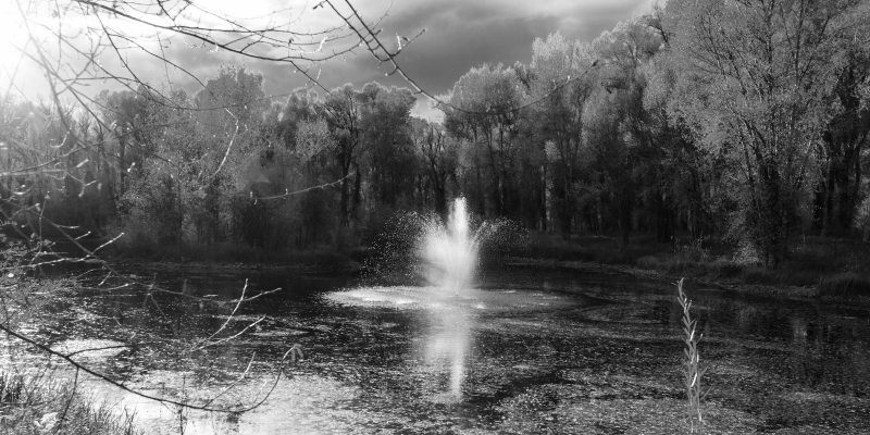 Alfombra vinílica naturaleza serena vista de la cascada - TenVinilo