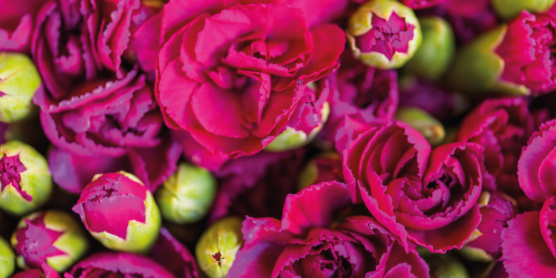 Alfombra vinílica flores florecillas brillantes - TenVinilo