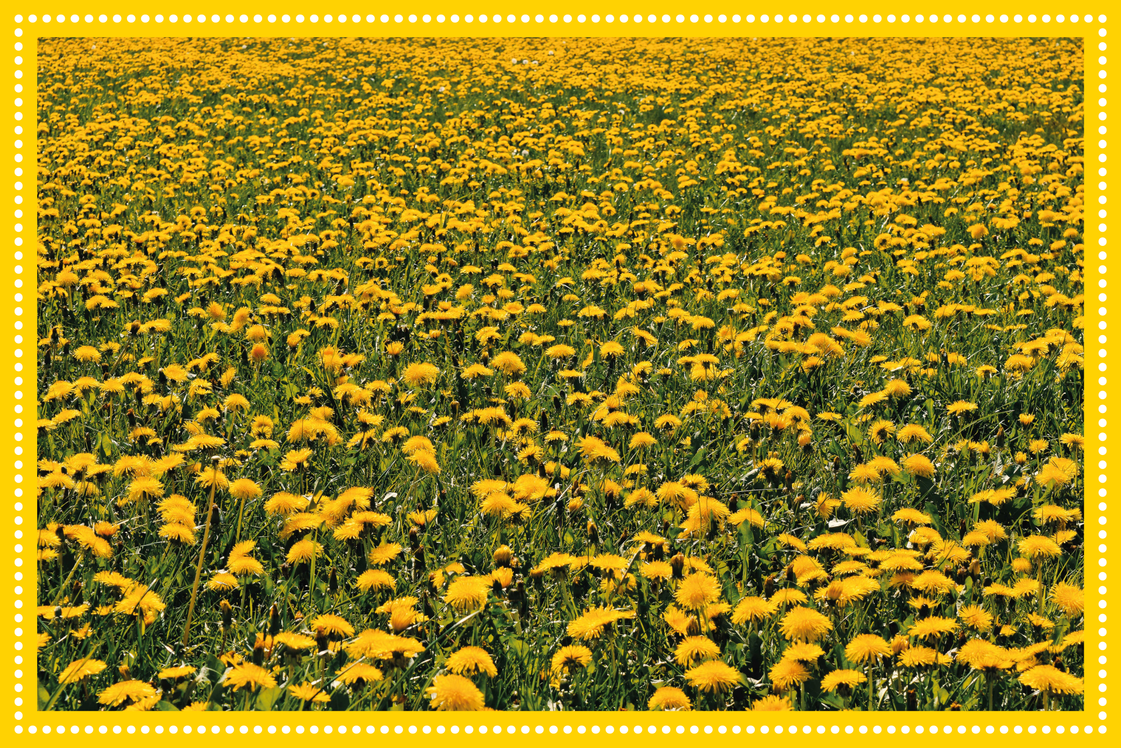 Alfombra vinílica flores campo de girasoles - TenVinilo