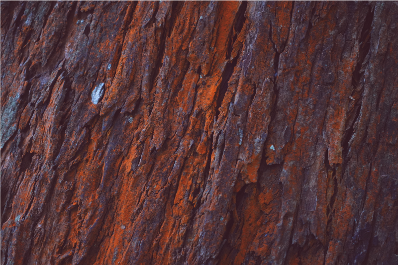 Alfombra vinílica imitación madera corteza rústica - TenVinilo